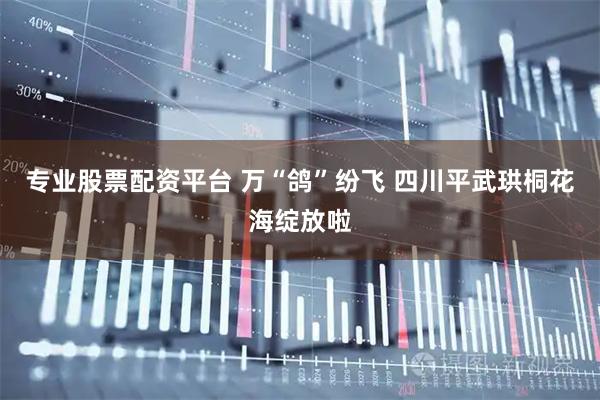 专业股票配资平台 万“鸽”纷飞 四川平武珙桐花海绽放啦