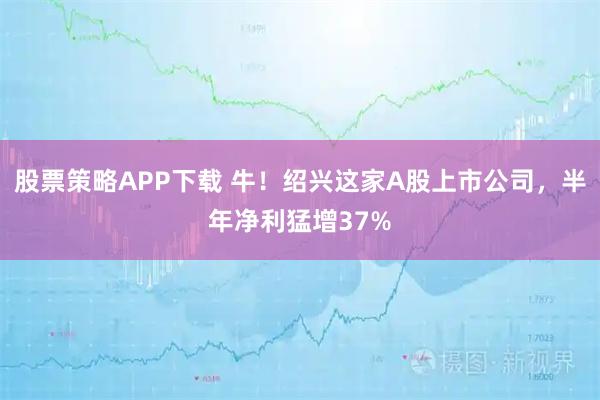 股票策略APP下载 牛！绍兴这家A股上市公司，半年净利猛增37%